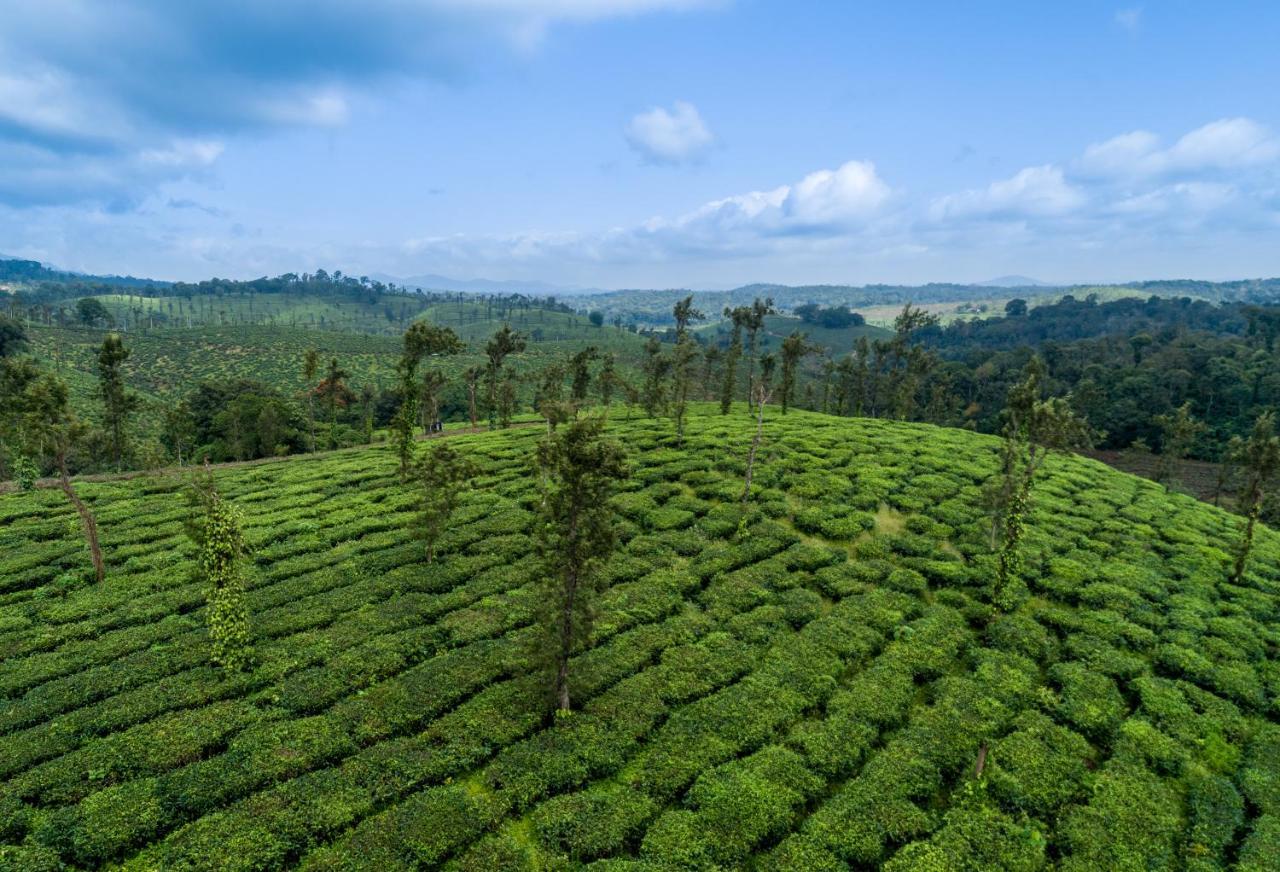 Amritara Ambatty Greens Resort Virajpet Exteriör bild